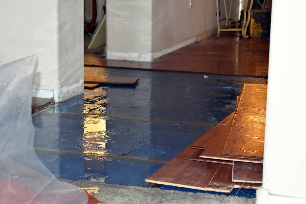 Professional Basement Flood Cleanup technician working in Goffstown, NH